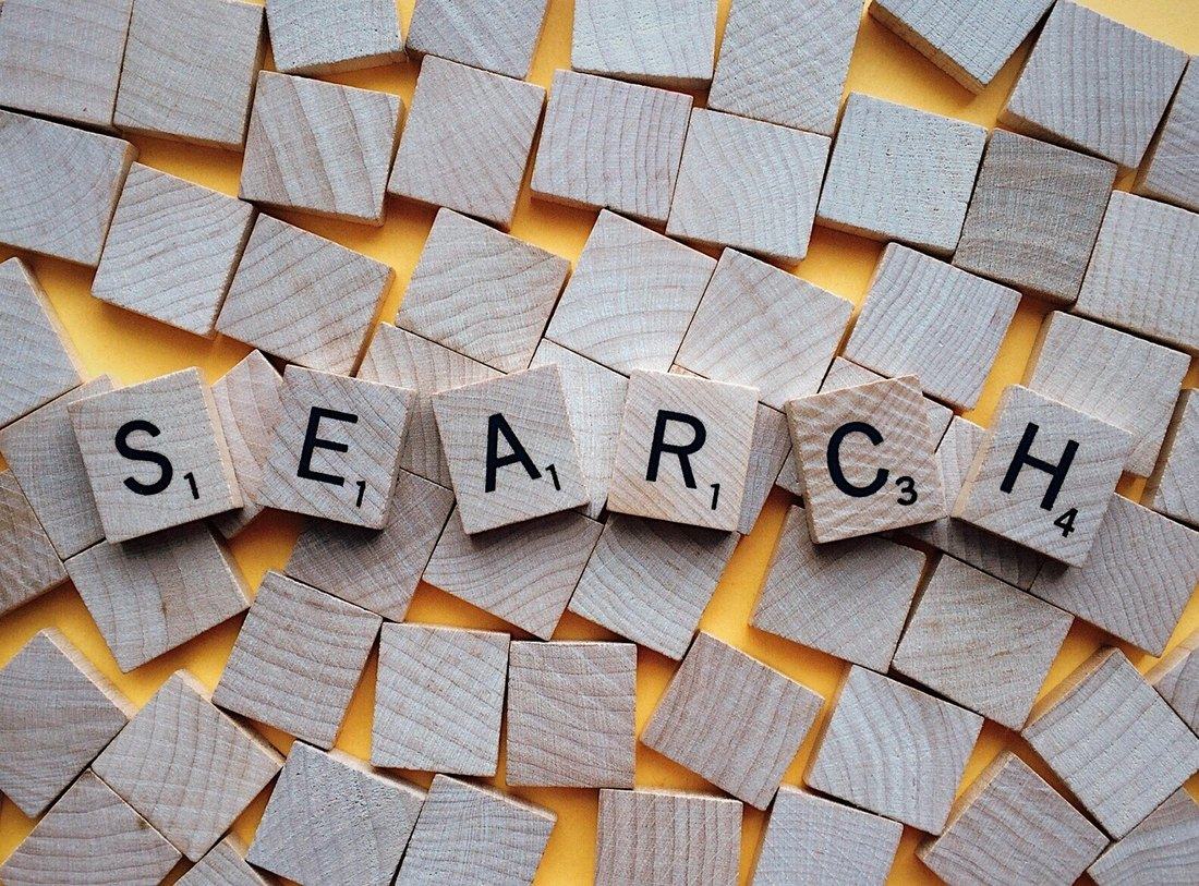 Search Engine and AI Search Optimization